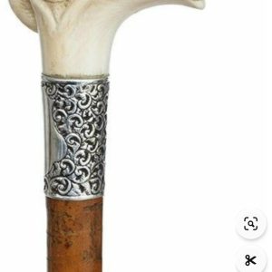 عصا منبت چوبی خرس