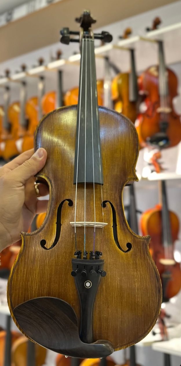 ویولن حرفه ای پائولو Paolo سناتور موزیک رباط کریم